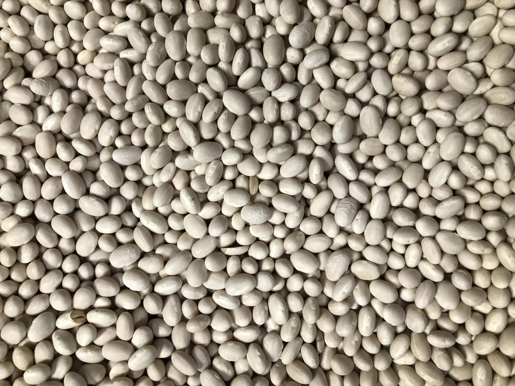 Dry bean: Alubia Blanca organic