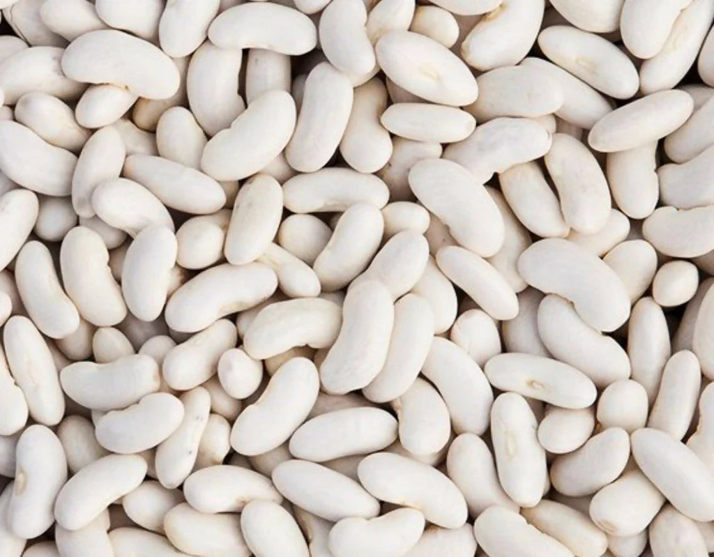 Dry bean: Silver Cloud cannellini organic