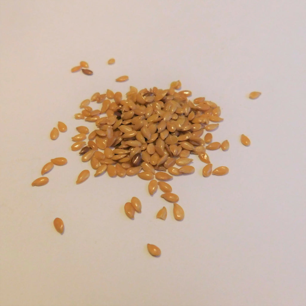 Golden Flax