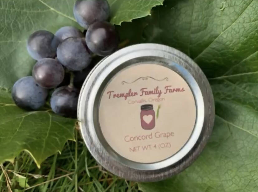 Concord Grape Jelly, 4oz.