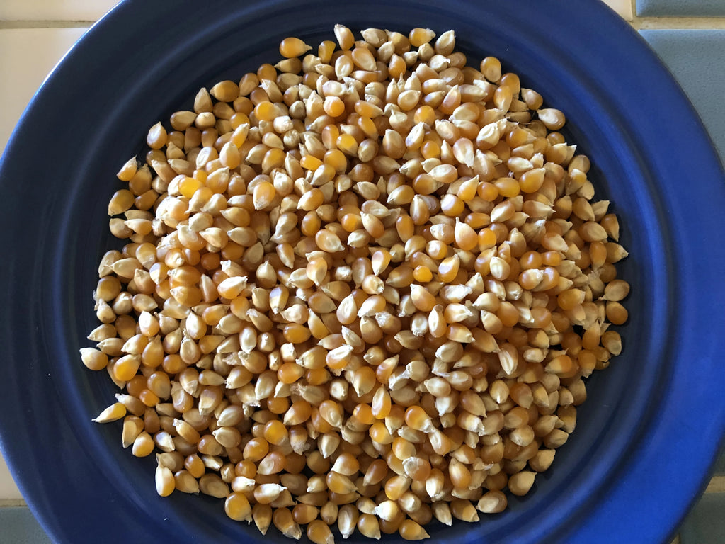Popcorn: yellow/white and flavorful, organic