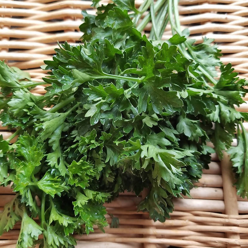 Fresh Curly Parsley, Certified Organic, 1 pound