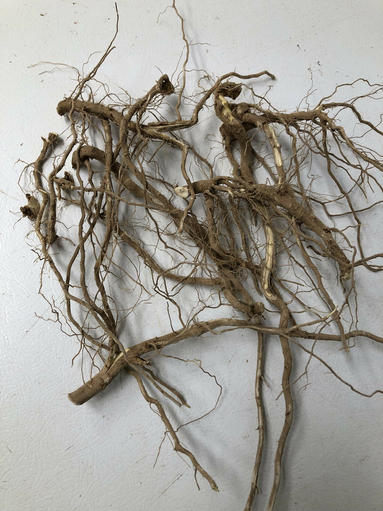 ashwagandharootdried