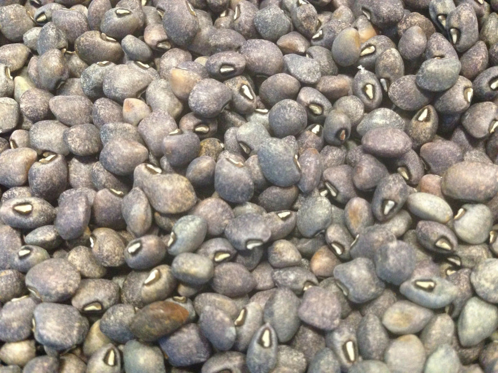 Dry bean: Blue Goose cowpea organic