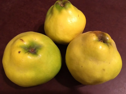Fresh Quince -- 5 lb. bag