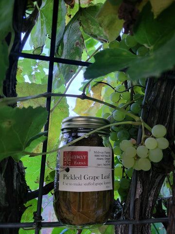 Jarred Grape Leaves ~ 16oz ~ Limited