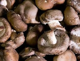 1 lb. Fresh Shiitake Mushrooms - certified organic