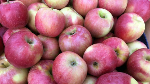 Florina Apple 10lbs ($2/lb)
