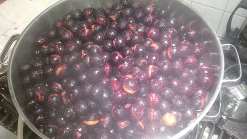 Wild Sour Cherry 8oz ~ heritage method