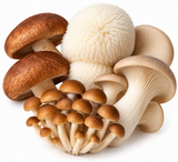 Dried Cultivated Mushroom Blend - certified organic - 1/2 Pound