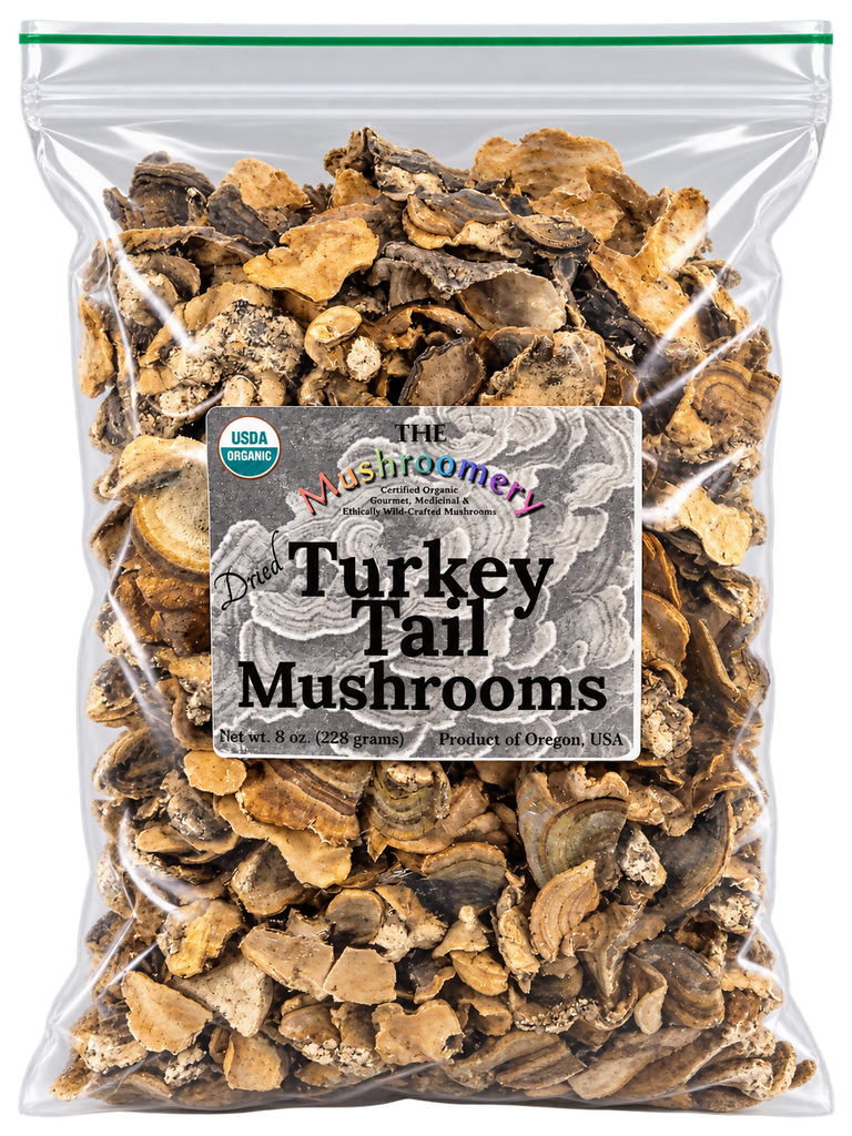 Dried Turkey Tail Mushrooms - Certified Organic - 1/2 Pound