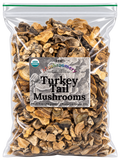Dried Turkey Tail Mushrooms - Certified Organic - 1/2 Pound