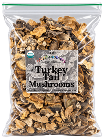 Dried Turkey Tail Mushrooms - Certified Organic - 1/2 Pound