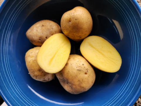"Jelly" potatoes, Certified Organic
