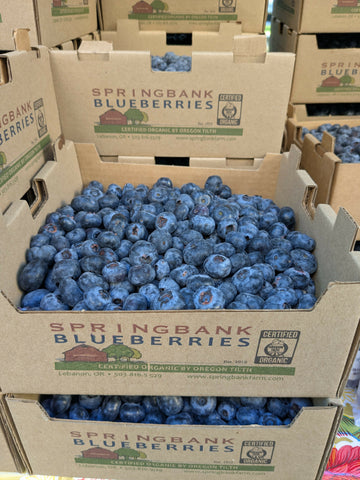 frozen organic blueberries