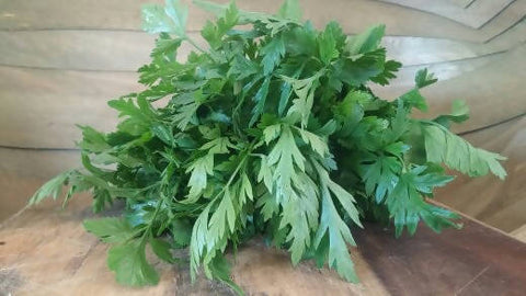 Fresh Italian Parsley, Certified Organic, 1 pound