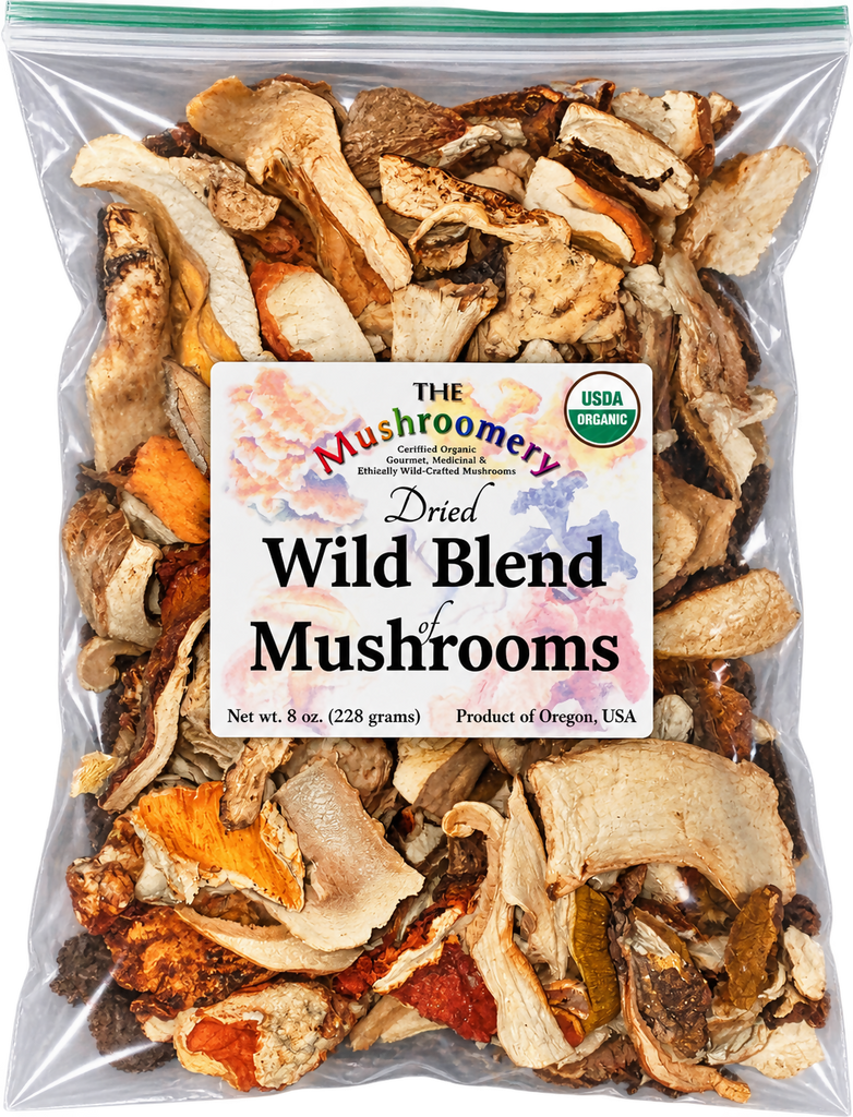 Dried Wild Mushroom Blend - Certified Organic - 1/2 Pound