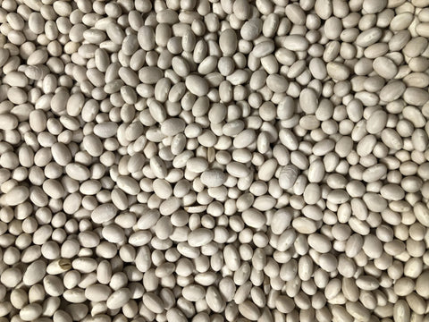 Dry bean: Alubia Blanca organic