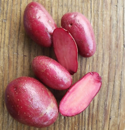 Potatoes, Adirondack Red Organic