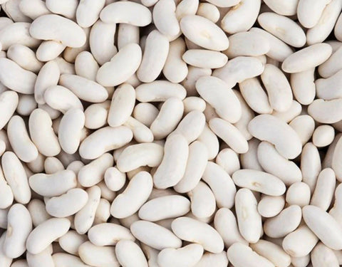 Dry bean: Silver Cloud cannellini organic
