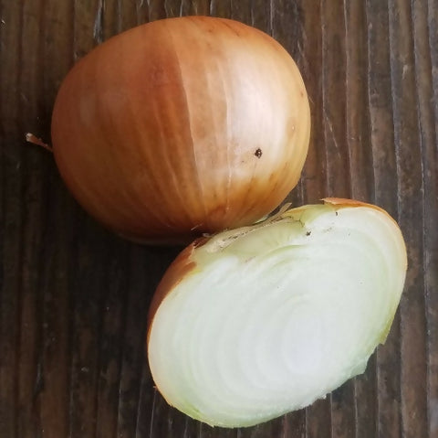 Onions, Yellow Organic