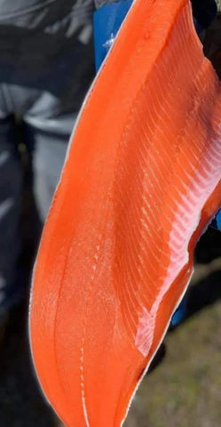 Flash Frozen Vac/Pac Coho Filets