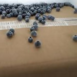 frozen organic blueberries