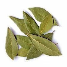 Fresh Bay Leaf Bunch