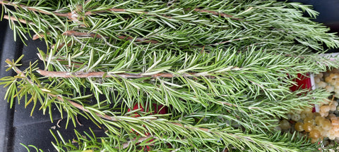 Fresh Rosemary Bunch Medium