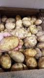 Yellow Gold Deal! 20lb Mix of Yellow Onion & Gold Potatoes $2.00/lb