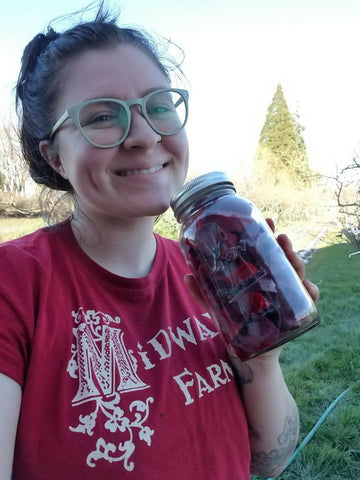 alex pickled beets
