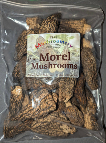 Morel .25 lb front