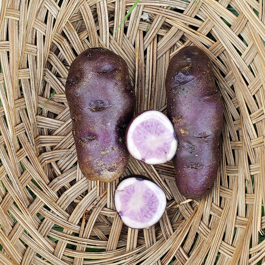Potatoes, All Blue Organic