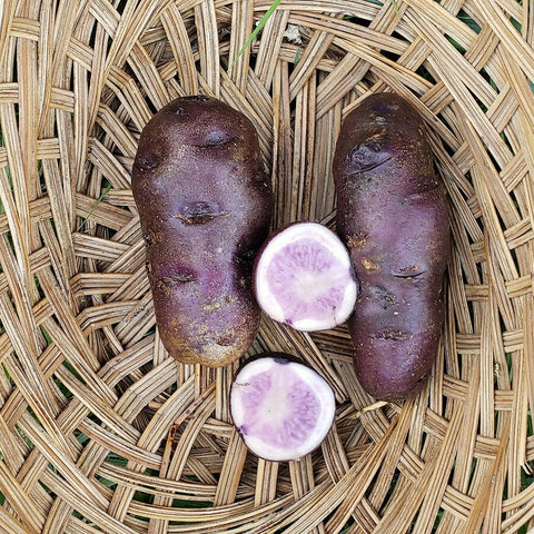 Potatoes, All Blue Organic