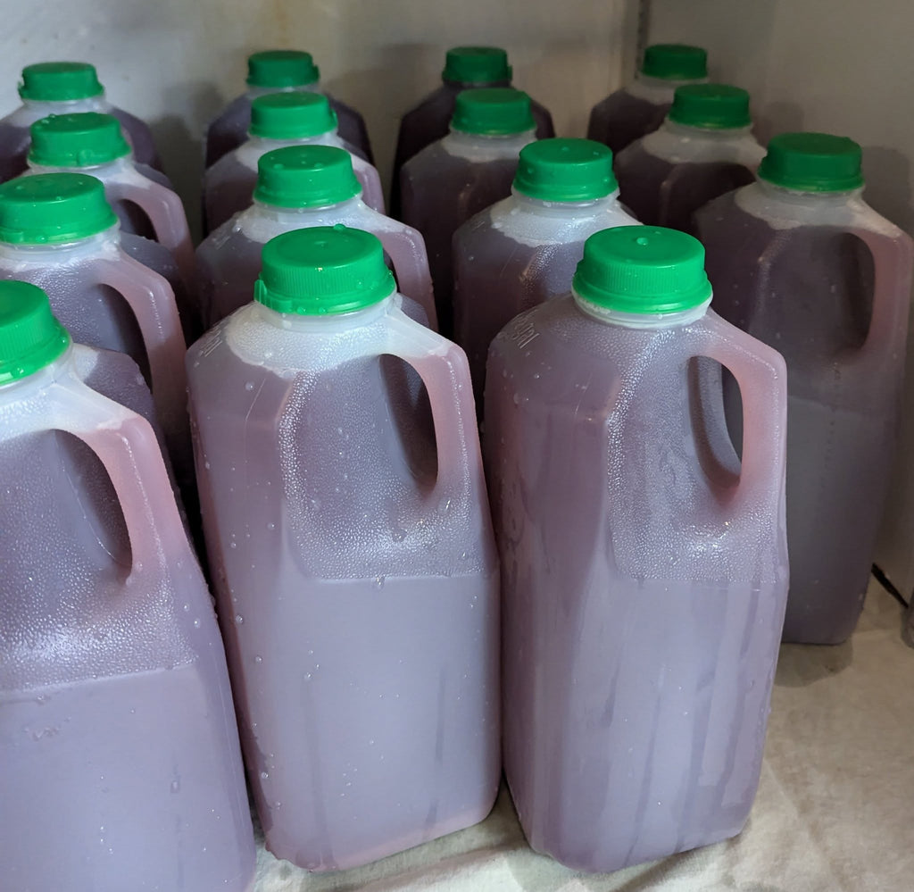 100% Concord Grape ~ Fresh Juice 1/2 gallon