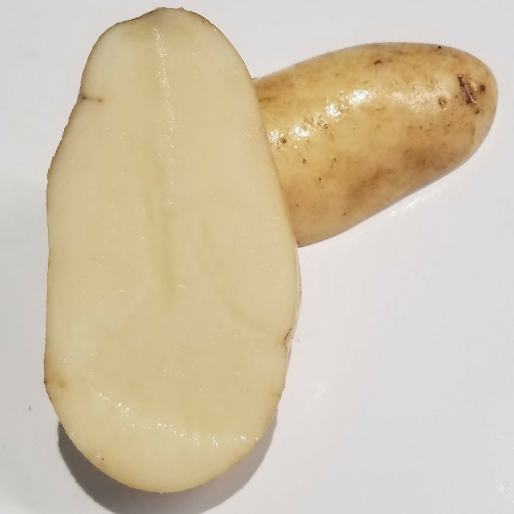 Potatoes, Kennebec Organic