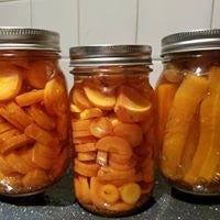 Pickled Carrots No sugar