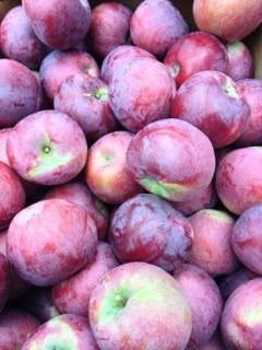 Liberty Saucing Apple 20lbs ($1.50lb)