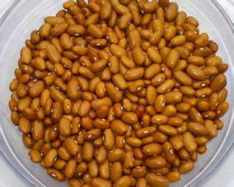 Beans 1lb Yellow Indian Woman ~ Swedish Heirloom