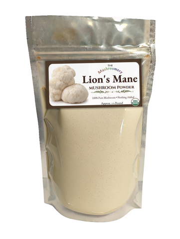 Lion's Mane Mushroom Powder - Certified Organic - 1/4 Pound