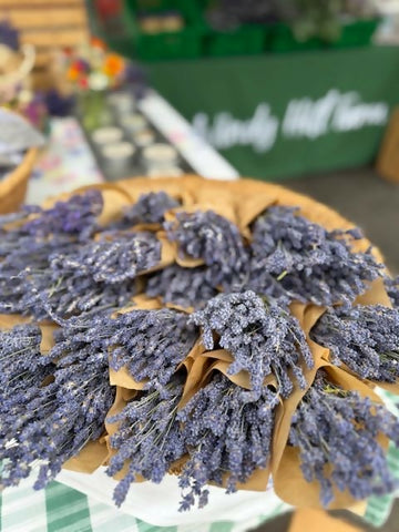 Lavender