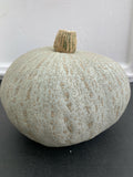 Harvest Moon Squash