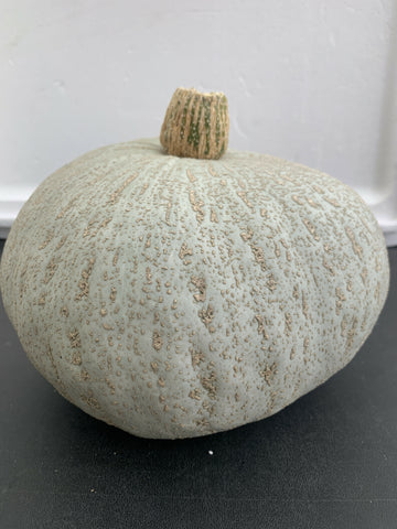 Harvest Moon Squash