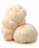Dried Lion's Mane Mushrooms - certified organic - 1/2 Pound