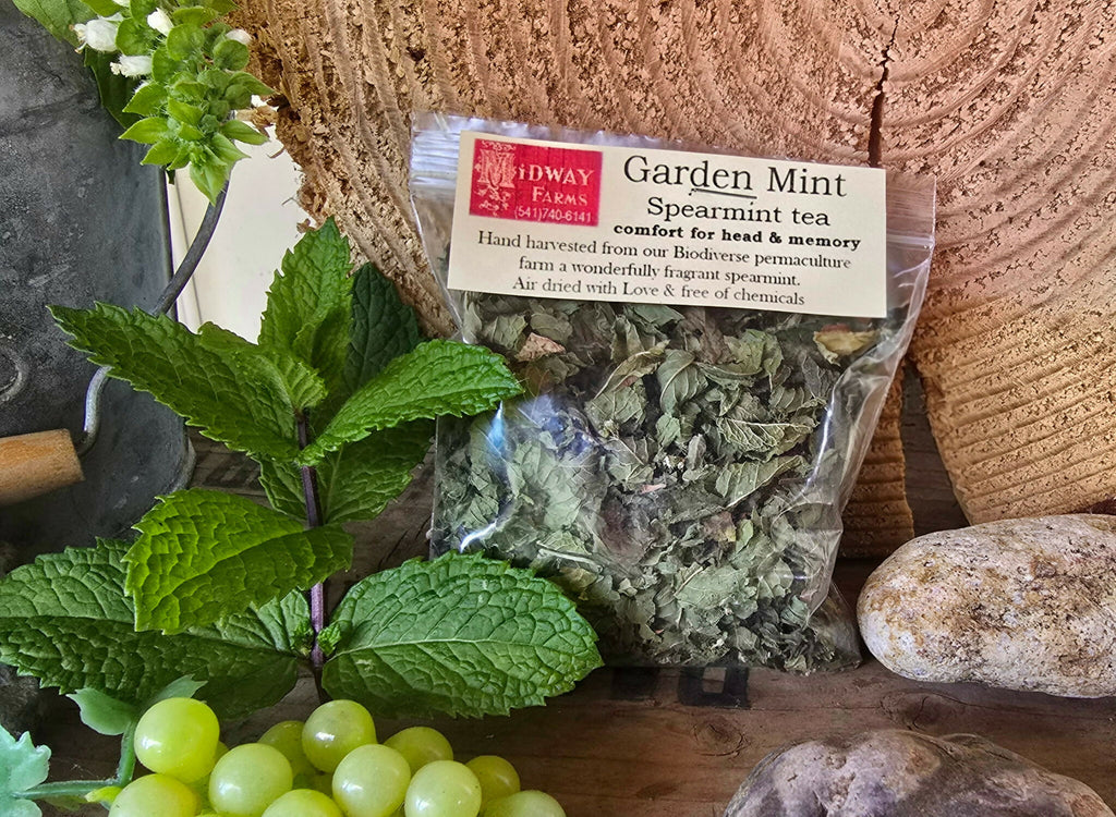 Tea ~ Garden Mint