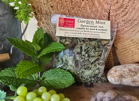 Tea ~ Garden Mint