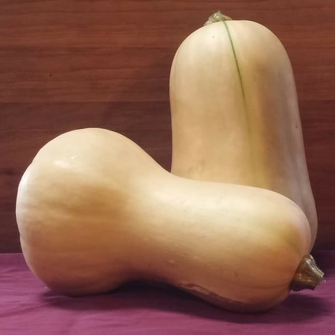 Butternut Winter Squash Organic