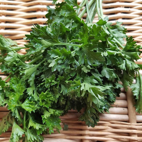 Fresh Curly Parsley, Certified Organic, 1 pound