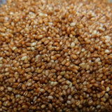 Teff Grain