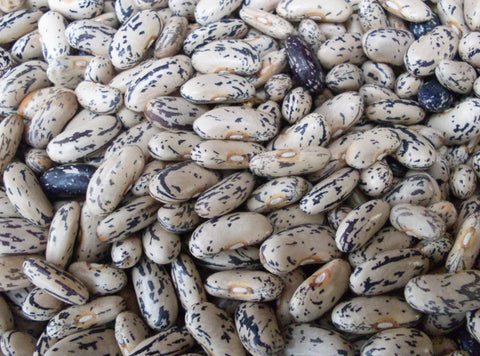 Dry bean: Brighstone organic